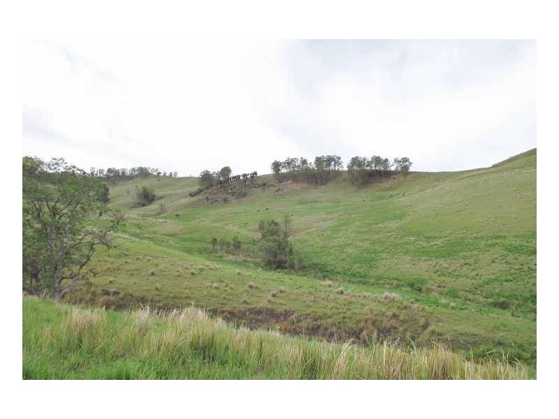 Kyogle NSW 2474