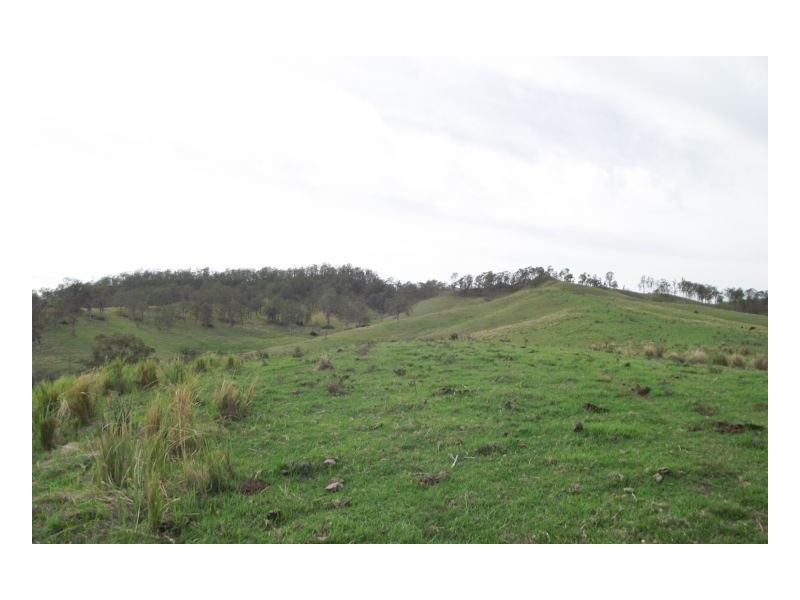 Kyogle NSW 2474