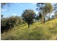 1696 Summerland Way, Wiangaree, Kyogle NSW 2474