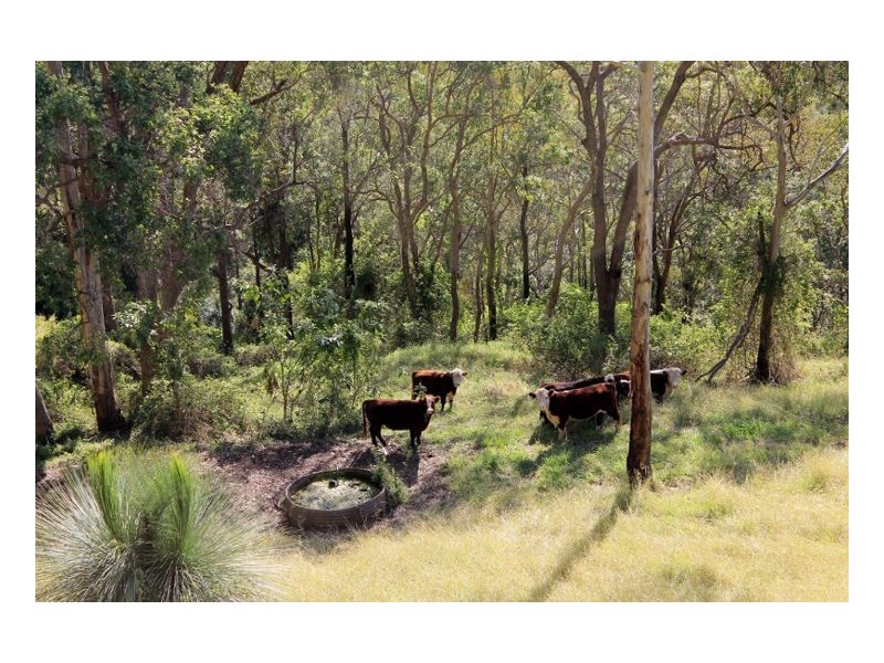 1696 Summerland Way, Wiangaree, Kyogle NSW 2474