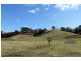 1696 Summerland Way, Wiangaree, Kyogle NSW 2474