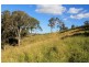 1696 Summerland Way, Wiangaree, Kyogle NSW 2474