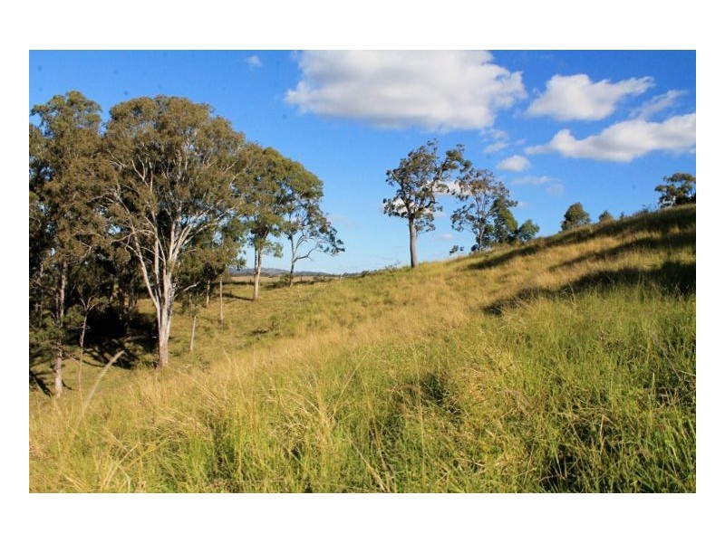 1696 Summerland Way, Wiangaree, Kyogle NSW 2474