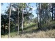 1696 Summerland Way, Wiangaree, Kyogle NSW 2474
