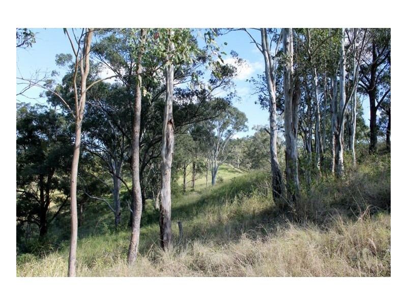 1696 Summerland Way, Wiangaree, Kyogle NSW 2474