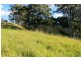 1696 Summerland Way, Wiangaree, Kyogle NSW 2474