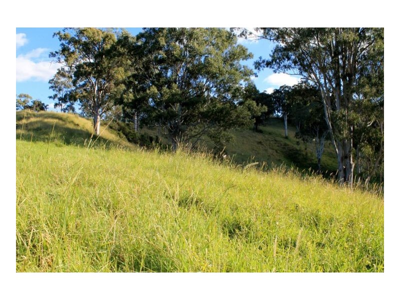 1696 Summerland Way, Wiangaree, Kyogle NSW 2474