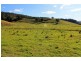 1696 Summerland Way, Wiangaree, Kyogle NSW 2474