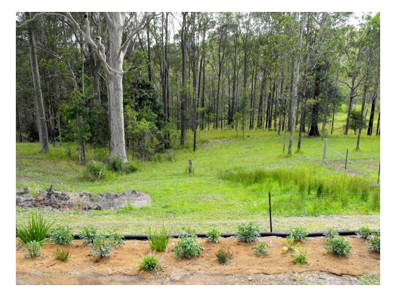 143 Newtons Road, Kyogle NSW 2474