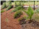 143 Newtons Road, Kyogle NSW 2474