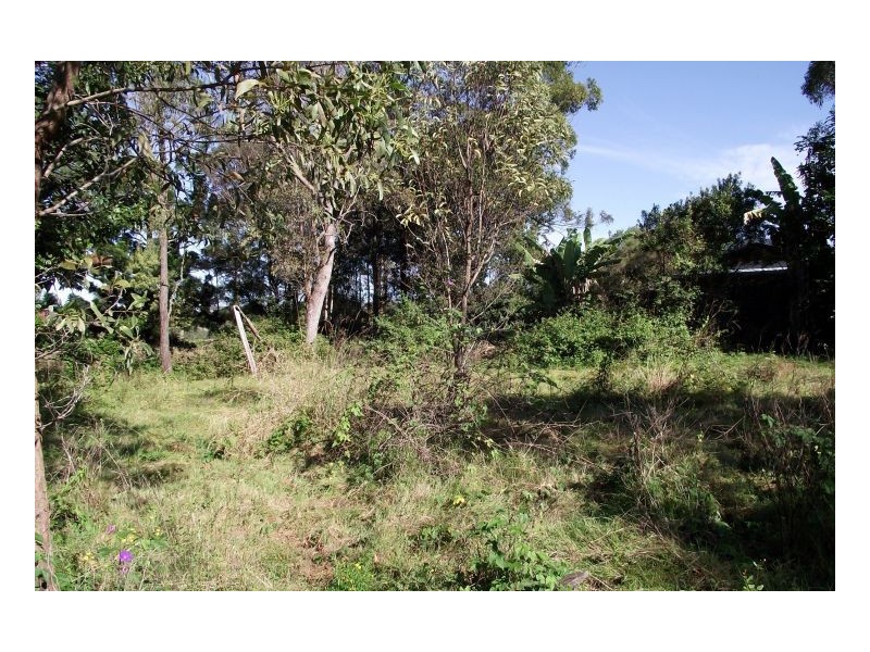 29 Iron Pot Creek Road, Kyogle NSW 2474
