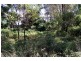 29 Iron Pot Creek Road, Kyogle NSW 2474
