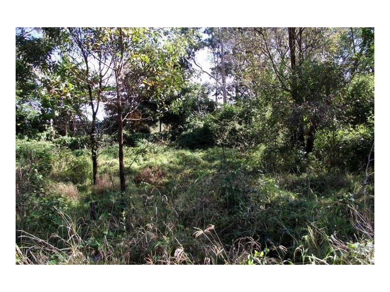 29 Iron Pot Creek Road, Kyogle NSW 2474