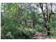 Kyogle NSW 2474