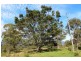 Kyogle NSW 2474
