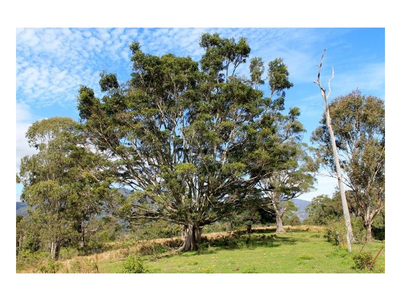 Kyogle NSW 2474