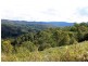 Kyogle NSW 2474