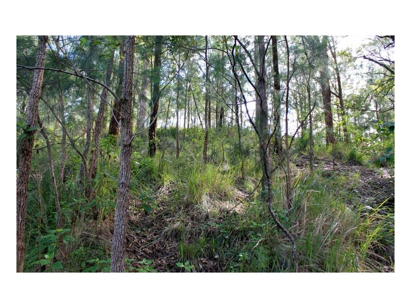 Kyogle NSW 2474