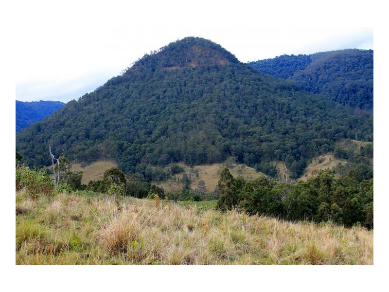 Kyogle NSW 2474