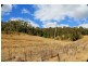 2151 Summerland Way, Kyogle NSW 2474