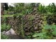 124 Warrazambil Creek, Kyogle NSW 2474