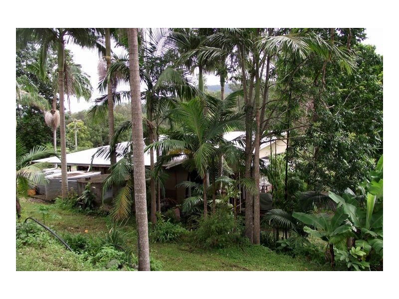 124 Warrazambil Creek, Kyogle NSW 2474