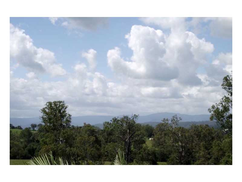 438 Omagh Road, Cedar Point NSW 2474