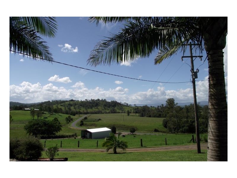 438 Omagh Road, Cedar Point NSW 2474