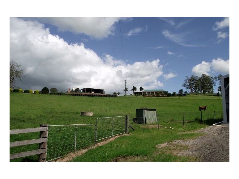 438 Omagh Road, Cedar Point NSW 2474