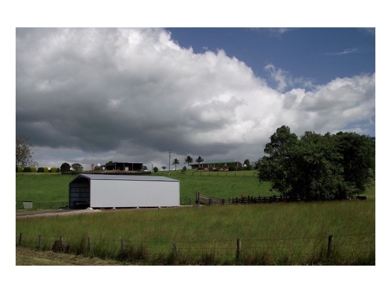 438 Omagh Road, Cedar Point NSW 2474