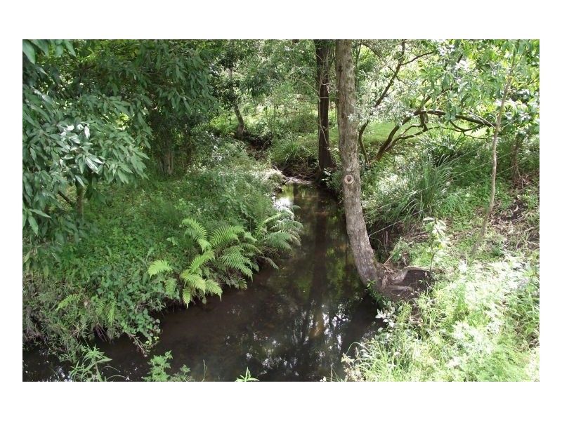 #482 Afterlee Road, Kyogle NSW 2474