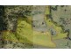 1061 Collins Creek Road, Kyogle NSW 2474