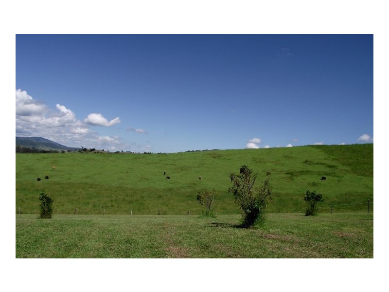 1061 Collins Creek Road, Kyogle NSW 2474
