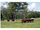1061 Collins Creek Road, Kyogle NSW 2474