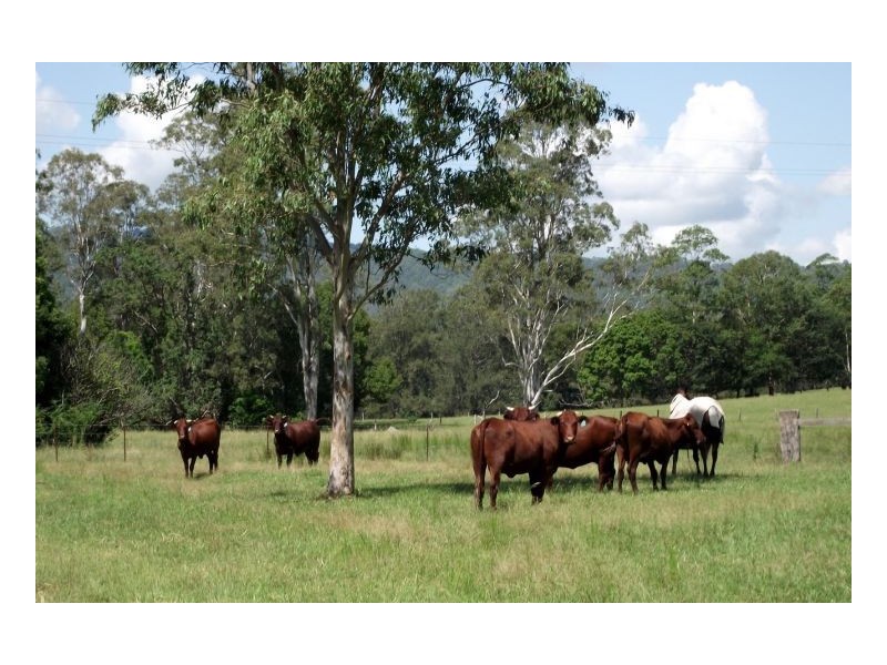 1061 Collins Creek Road, Kyogle NSW 2474