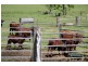 1061 Collins Creek Road, Kyogle NSW 2474