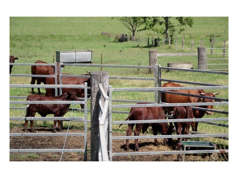 1061 Collins Creek Road, Kyogle NSW 2474