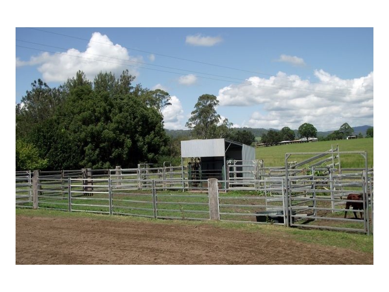 1061 Collins Creek Road, Kyogle NSW 2474