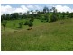 1061 Collins Creek Road, Kyogle NSW 2474