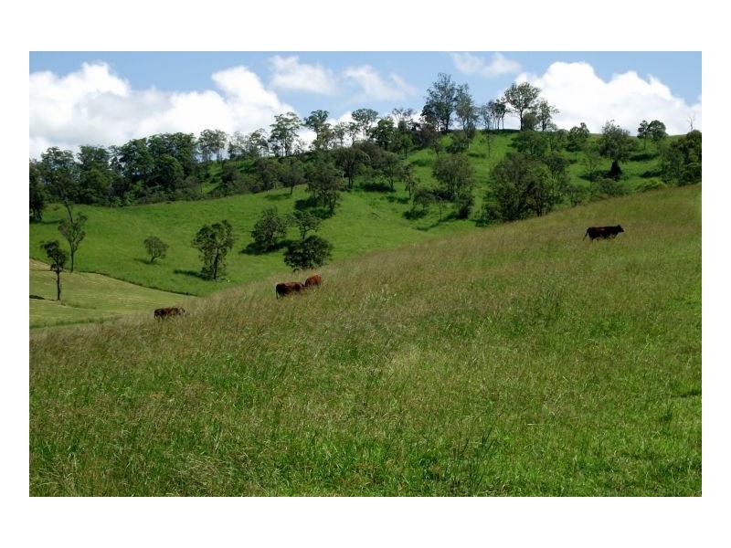 1061 Collins Creek Road, Kyogle NSW 2474