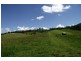 1061 Collins Creek Road, Kyogle NSW 2474