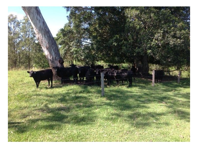 149 Strongs Road, Fairy Hill, Casino NSW 2470