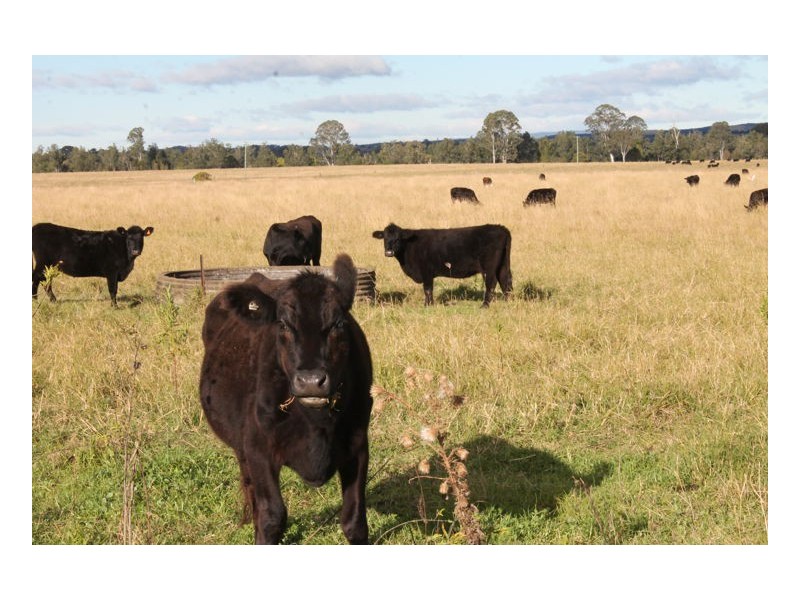 149 Strongs Road, Fairy Hill, Casino NSW 2470