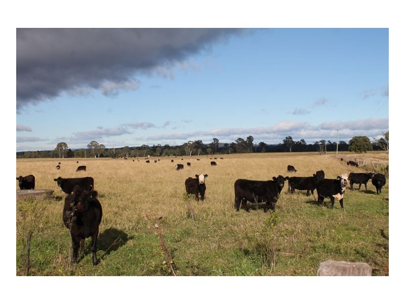 149 Strongs Road, Fairy Hill, Casino NSW 2470