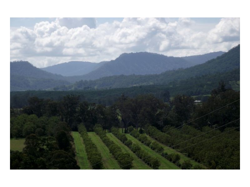 659 West Wiangaree Road, Kyogle NSW 2474