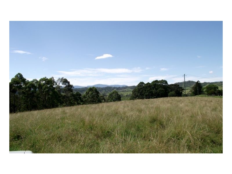 659 West Wiangaree Road, Kyogle NSW 2474