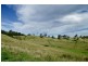 Lot 571 Afterlee Road, Kyogle NSW 2474