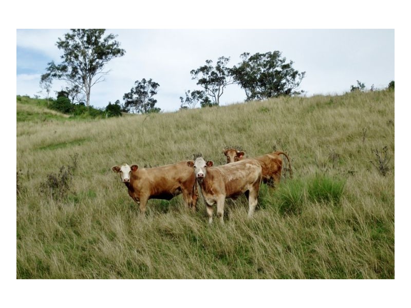 Lot 571 Afterlee Road, Kyogle NSW 2474