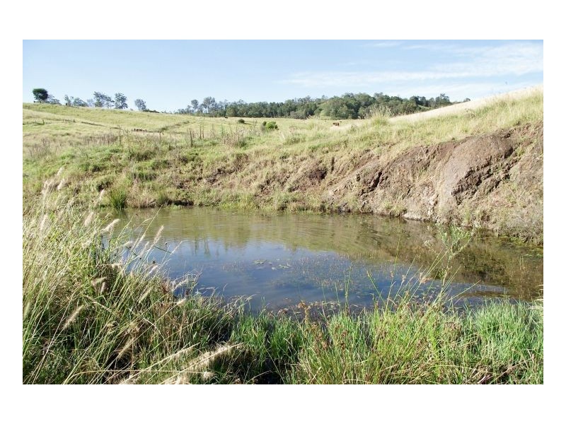 Lot 571 Afterlee Road, Kyogle NSW 2474