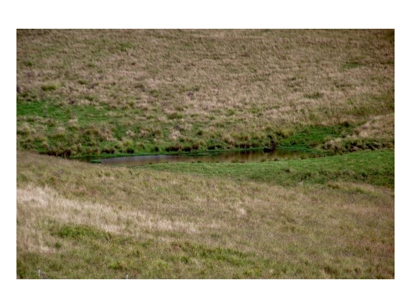 Lot 571 Afterlee Road, Kyogle NSW 2474